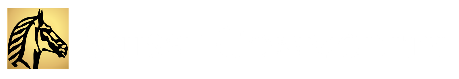 Suisse Commodity LLC